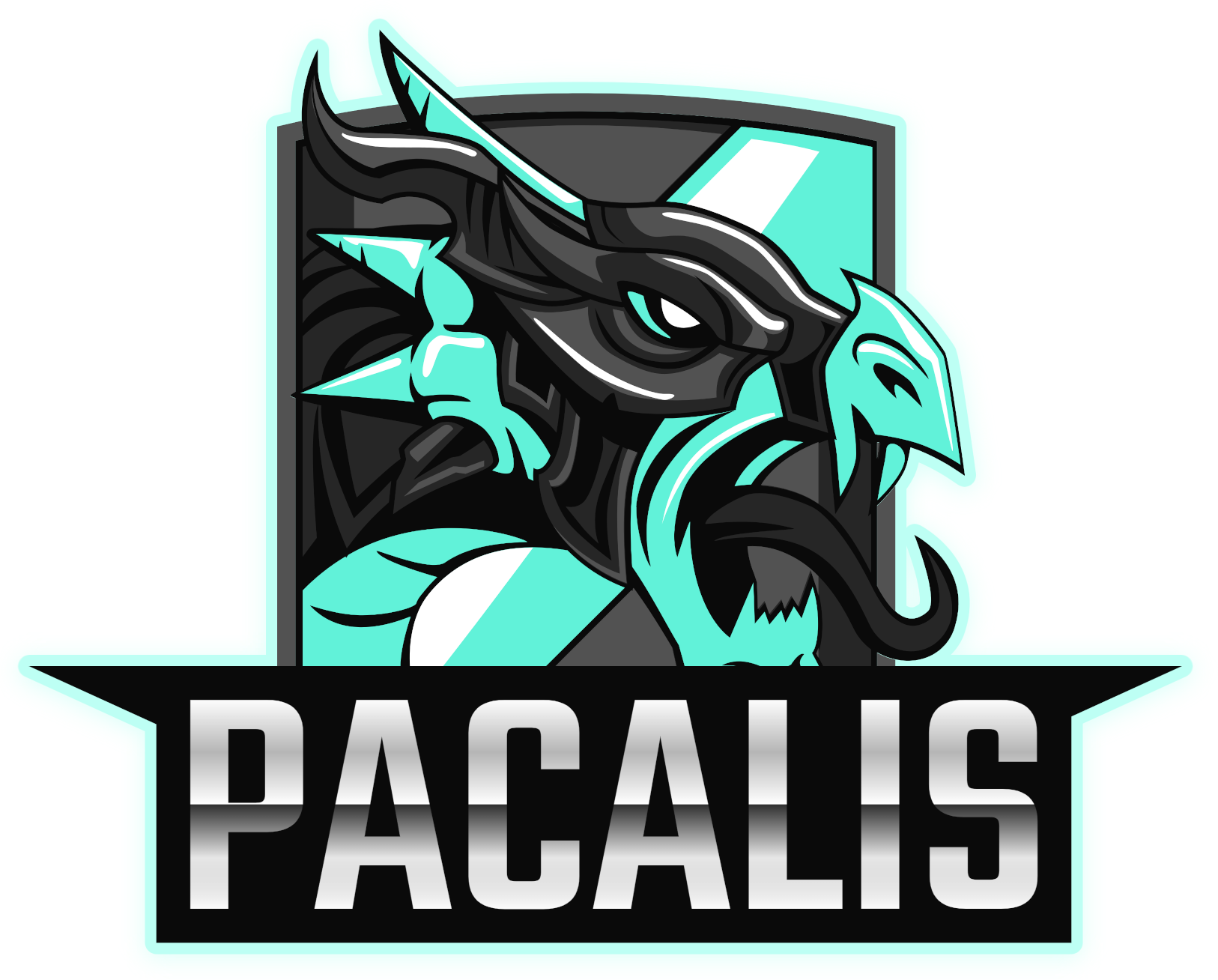 PACALIS logo